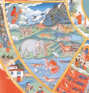 Animal_realm